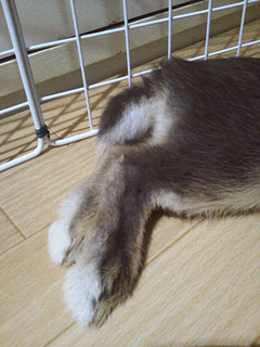 2012_06150042.jpg