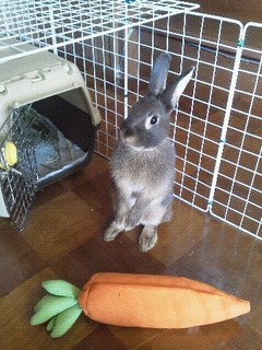 2012_08240845.jpg