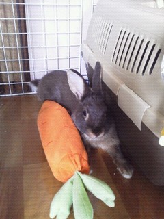 2012_08241117.jpg